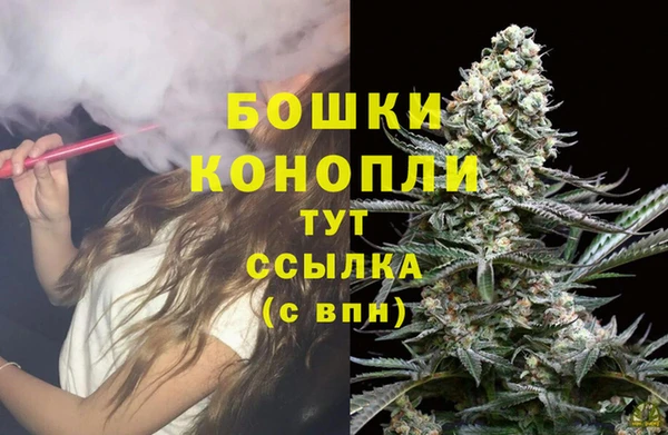 PSILOCYBIN Верхний Тагил